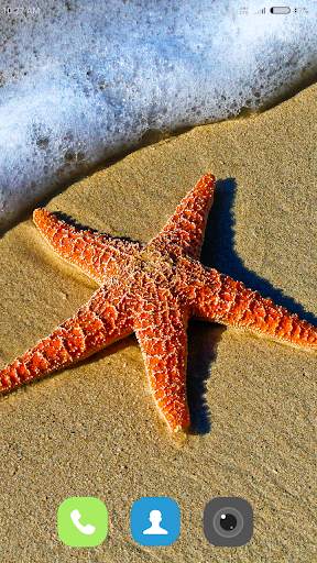 Starfish Wallpaper 4K screenshot 13
