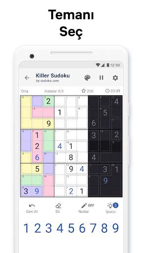Kazık sudoku - sayı bulmacası screenshot 6