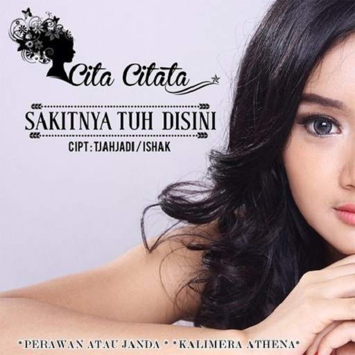 Lagu Cita Citata Mp3 Offline screenshot 4
