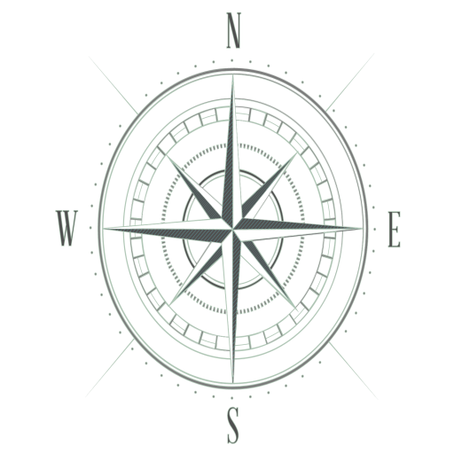 Compass pro icon