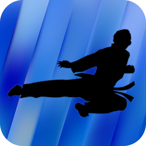 Taekwondo Training - Videos icon