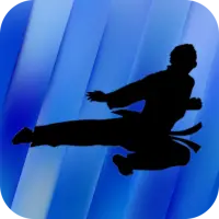 Taekwondo Training - Videos on 9Apps