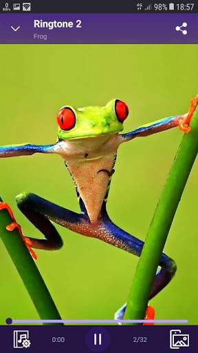 Frog - RINGTONES and WALLPAPERS screenshot 3