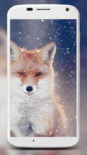 Fox Wallpaper HD 2 تصوير الشاشة