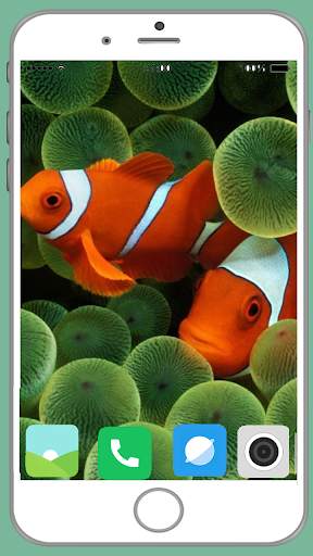 Fish Full HD Wallpaper 9 تصوير الشاشة