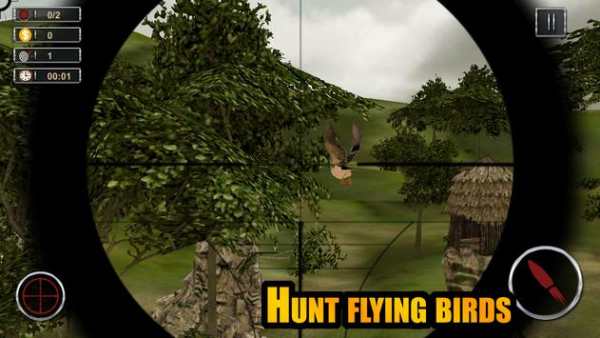 Forest Birds Hunting screenshot 4