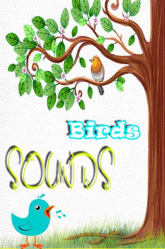 Bird Sounds -top Ringtones 2019 screenshot 1