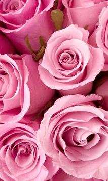 Rose Love HD Wallpaper screenshot 1