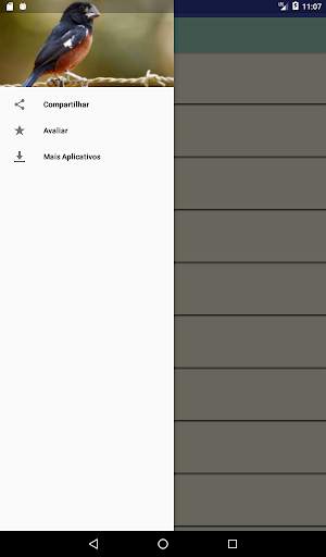 Cantos de Curió screenshot 8