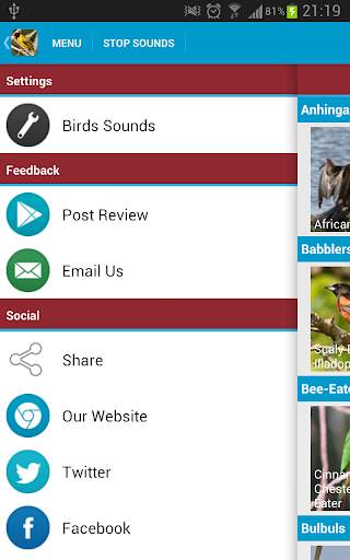 African Birds Sounds Free screenshot 8