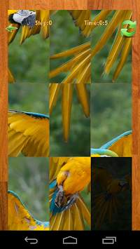 Bird puzzle game screenshot 6