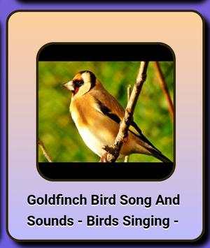 Song of Birds. screenshot 7