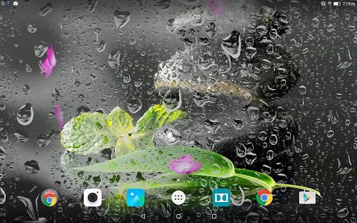 Garden Zen Live Wallpaper screenshot 10