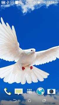 Beautiful Doves Wallpaper screenshot 1