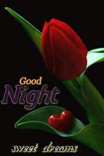 Good Night New Images Gif screenshot 7