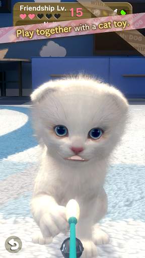 with My CAT screenshot 3