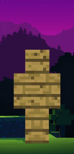 Block Skin For Minecraft screenshot 5