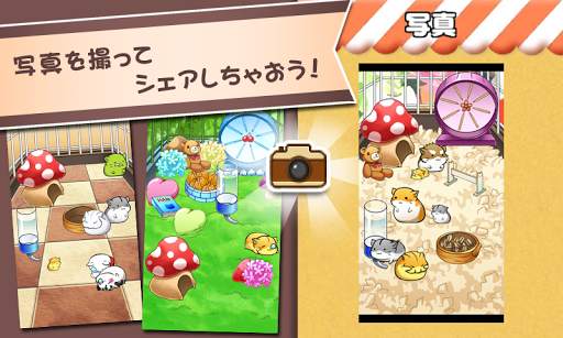 ハムスターライフ - 無料育成ゲーム screenshot 4