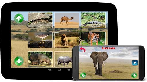 Animal Sounds screenshot 7