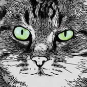 Trap a Cat icon