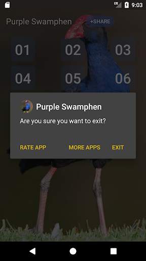 Purple Swamphen Sounds screenshot 5