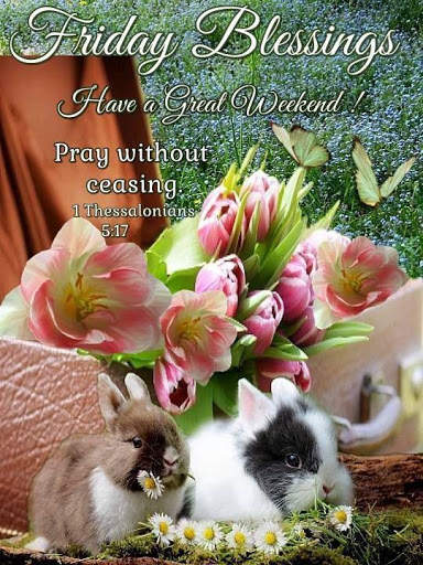 Daily Wishes And Blessings screenshot 6