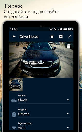 DriverNotes screenshot 12