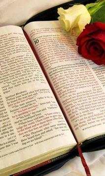 New World Translation Bible NWT Free скриншот 2