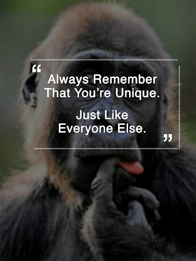 Funny Quotes - Free 2019 Quotes screenshot 1