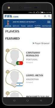 FIFA WORLD CUP 2018 screenshot 8