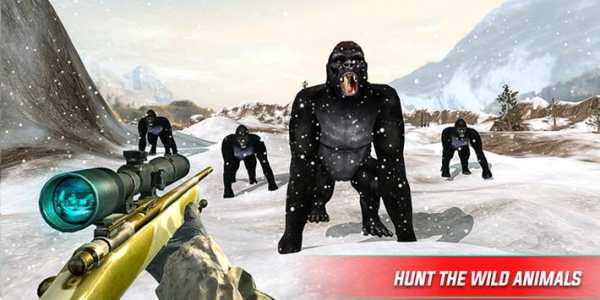 Angry King kong Attack-Wild Animal Shooting screenshot 4