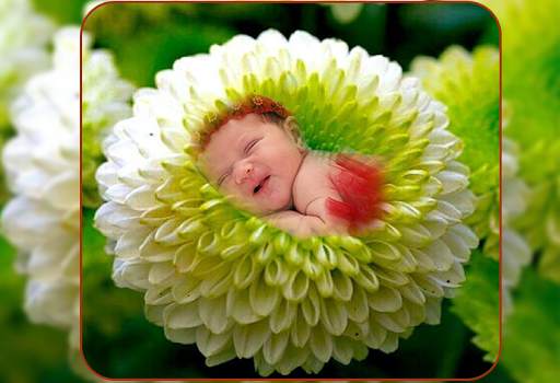Flower Photo frame - Flower Crown Photo Editor screenshot 2