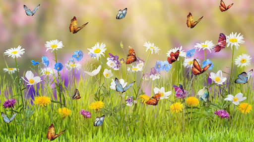 Spring Wallpapers : backgrounds hd screenshot 10