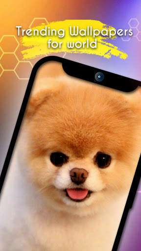 Crazy Wallpapers 2021 - Best live 4k HD Wallpapers screenshot 1