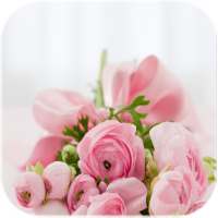Flowers Live Wallpaper logo