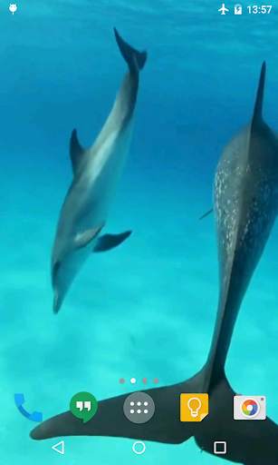 Dolphins HD Live Wallpaper screenshot 4
