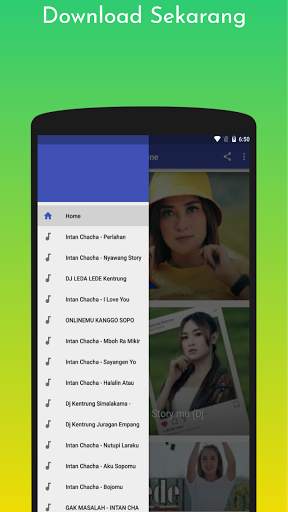 Lagu Intan Chacha Offline screenshot 1
