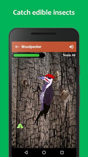 Woodpecker simulator screenshot 1