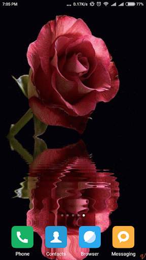 Flower Live Wallpaper screenshot 4