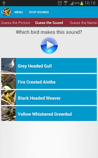 African Birds Sounds Free screenshot 5
