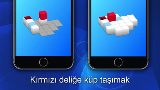 Bilmece oyunları 4 screenshot 1