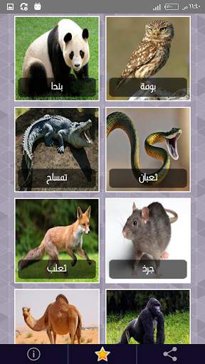 أصوات الحيوانات مع إسم كل صوت باللغة العربية screenshot 3