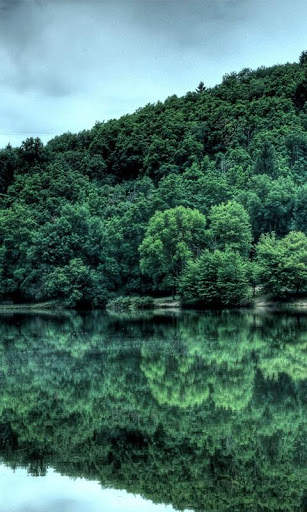 HD Forest Live Wallpaper screenshot 9