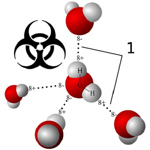 ikon Biochemistry