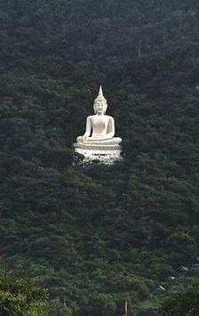 Buddha Wallpapers 7 تصوير الشاشة