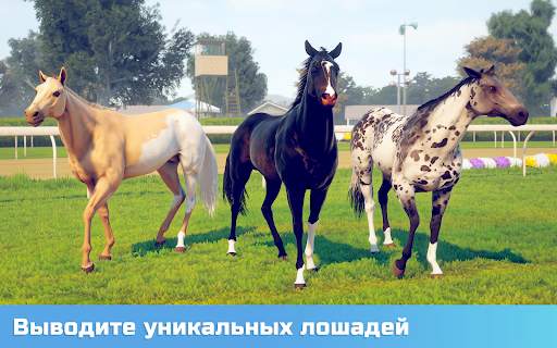 Состязание звезд: скачки скриншот 15
