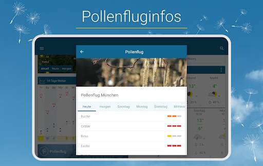 WetterOnline - Schnee-Prognose screenshot 15