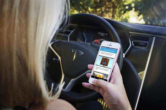 Real Driving Lessons screenshot 5