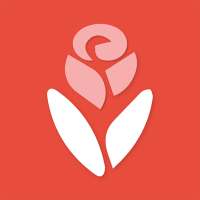 Lvita: Online flowers and gifts shopping in UAE logo