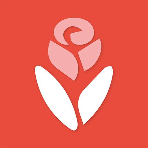 Lvita: Online flowers and gifts shopping in UAE 2.0